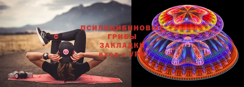 Псилоцибиновые грибы Cubensis  Сатка 